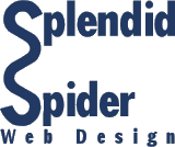 Splendid Spider Web Design